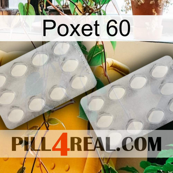 Poxet 60 17.jpg